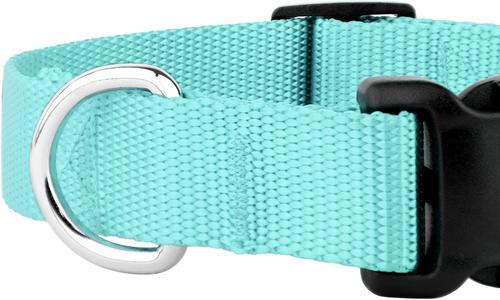 Show full view: Country Brook Petz Everyday Nylon Dog Collar, Light Cyan, Medium: 13 to 16-in neck, 3/4-in wide slide 7 of 8
