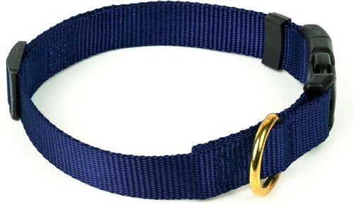 Show full view: Country Brook Petz Everyday Nylon Dog Collar, Navy Blue, Large: 16 to 22-in neck, 1-in wide slide 8 of 10