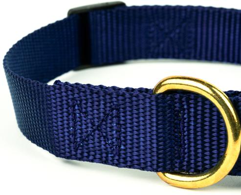 Show full view: Country Brook Petz Everyday Nylon Dog Collar, Navy Blue, Medium: 13 to 16-in neck, 3/4-in wide slide 8 of 9