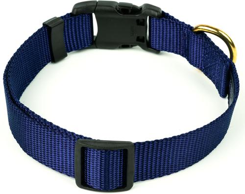 Show full view: Country Brook Petz Everyday Nylon Dog Collar, Navy Blue, Medium: 13 to 16-in neck, 3/4-in wide slide 6 of 9