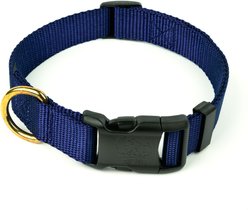 Country Brook Petz Everyday Nylon Dog Collar, Navy Blue, Small: 11 to 13-in neck, 3/4-in wide