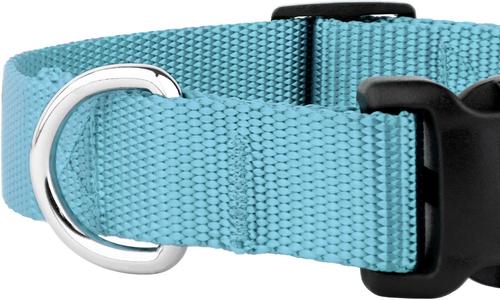 Show full view: Country Brook Petz Everyday Nylon Dog Collar, Ocean Blue, Small: 11 to 13-in neck, 3/4-in wide slide 7 of 8