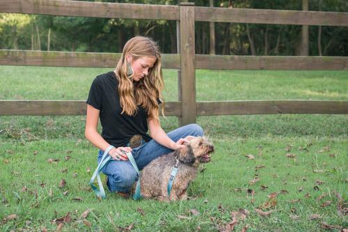 Show full view: Country Brook Petz Everyday Nylon Dog Collar, Ocean Blue, Small: 11 to 13-in neck, 3/4-in wide slide 2 of 8