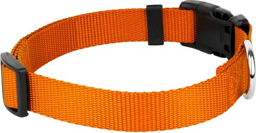 Show full view: Country Brook Petz Everyday Nylon Dog Collar, Orange, Large: 16 to 22-in neck, 1-in wide slide 7 of 9