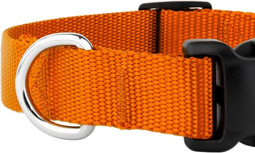 Show full view: Country Brook Petz Everyday Nylon Dog Collar, Orange, Large: 16 to 22-in neck, 1-in wide slide 8 of 9