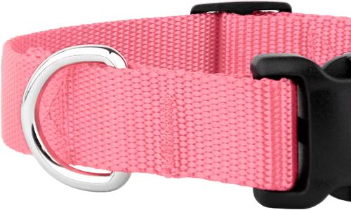 Show full view: Country Brook Petz Everyday Nylon Dog Collar, Pink, X-Small: 9 to 11-in neck, 3/8-in wide slide 7 of 8