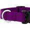 Show in main carousel: Country Brook Petz Everyday Nylon Dog Collar, Purple, Medium: 13 to 16-in neck, 3/4-in wide slide 7 of 8