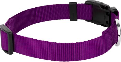 Show full view: Country Brook Petz Everyday Nylon Dog Collar, Purple, Medium: 13 to 16-in neck, 3/4-in wide slide 6 of 8