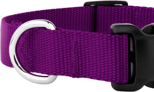 Show full view: Country Brook Petz Everyday Nylon Dog Collar, Purple, Small: 11 to 13-in neck, 3/4-in wide slide 8 of 9