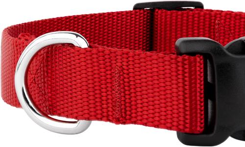 Show full view: Country Brook Petz Everyday Nylon Dog Collar, Red, Large: 16 to 22-in neck, 1-in wide slide 7 of 8