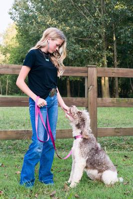 Show full view: Country Brook Petz Everyday Nylon Dog Collar, Rose, Large: 16 to 22-in neck, 1-in wide slide 3 of 9