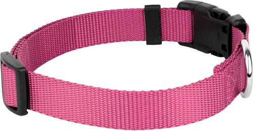 Show full view: Country Brook Petz Everyday Nylon Dog Collar, Rose, Medium: 13 to 16-in neck, 3/4-in wide slide 6 of 7
