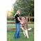 Show in main carousel: Country Brook Petz Everyday Nylon Dog Collar, Rose, Medium: 13 to 16-in neck, 3/4-in wide slide 3 of 7