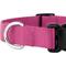 Show in main carousel: Country Brook Petz Everyday Nylon Dog Collar, Rose, Medium: 13 to 16-in neck, 3/4-in wide slide 7 of 7