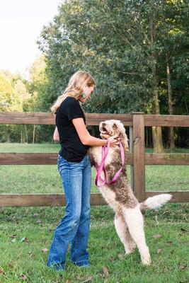 Show full view: Country Brook Petz Everyday Nylon Dog Collar, Rose, X-Small: 9 to 11-in neck, 3/8-in wide slide 3 of 8