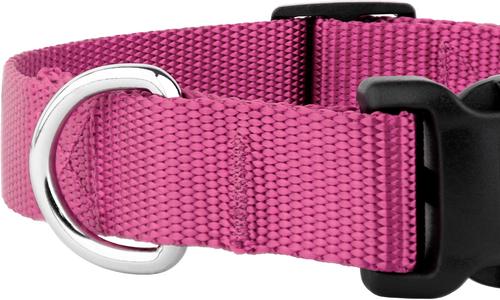 Show full view: Country Brook Petz Everyday Nylon Dog Collar, Rose, X-Small: 9 to 11-in neck, 3/8-in wide slide 7 of 8
