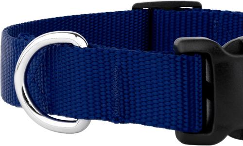Show full view: Country Brook Petz Everyday Nylon Dog Collar, Royal Blue, Large: 16 to 22-in neck, 1-in wide slide 7 of 8