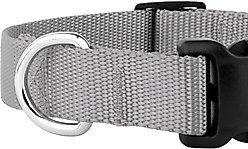 Country Brook Petz Everyday Nylon Dog Collar, Silver, Small: 11 to 13-in neck, 3/4-in wide slide 2 of 7