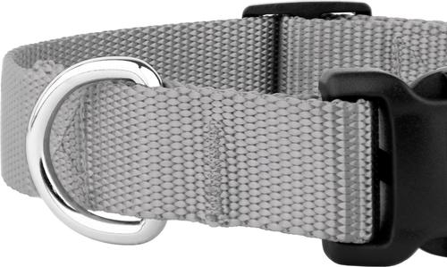Show full view: Country Brook Petz Everyday Nylon Dog Collar, Silver, Small: 11 to 13-in neck, 3/4-in wide slide 8 of 9