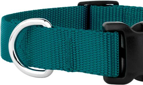 Show full view: Country Brook Petz Everyday Nylon Dog Collar, Teal, Small: 11 to 13-in neck, 3/4-in wide slide 8 of 9