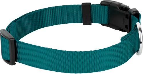 Show full view: Country Brook Petz Everyday Nylon Dog Collar, Teal, Small: 11 to 13-in neck, 3/4-in wide slide 7 of 9
