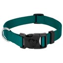 Country Brook Petz Everyday Nylon Dog Collar, Teal, X-Small: 9 to 11-in neck, 3/8-in wide