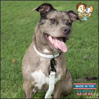 Show full view: Country Brook Petz Everyday Nylon Dog Collar, White, Large: 16 to 22-in neck, 1-in wide slide 3 of 11