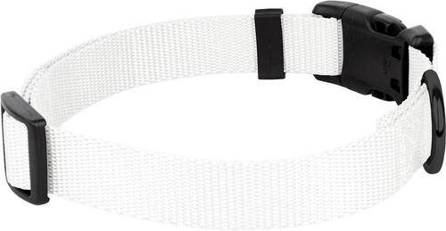 Show full view: Country Brook Petz Everyday Nylon Dog Collar, White, Medium: 13 to 16-in neck, 3/4-in wide slide 9 of 10