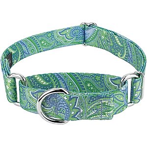 Country Brook Design Paisley Polyester Martingale Dog Collar, Green, Large: 18 to 26-in neck, 1-in wide