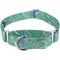 Show in main carousel: Country Brook Design Paisley Polyester Martingale Dog Collar, Green, Large: 18 to 26-in neck, 1-in wide slide 1 of 8