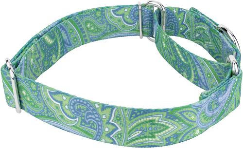Show full view: Country Brook Design Paisley Polyester Martingale Dog Collar, Green, Large: 18 to 26-in neck, 1-in wide slide 4 of 8