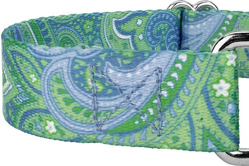 Show full view: Country Brook Design Paisley Polyester Martingale Dog Collar, Green, Large: 18 to 26-in neck, 1-in wide slide 5 of 8