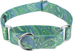 Country Brook Design Paisley Polyester Martingale Dog Collar, Green, Medium: 15 to 21-in neck, 1-in wide