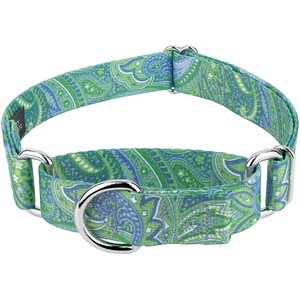 Country Brook Design Paisley Polyester Martingale Dog Collar, Green, Small: 11 to 15-in neck, 5/8-in wide