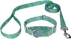 Country Brook Design Paisley Polyester Martingale Dog Collar & Leash, Green, Medium: 15 to 21-in neck, 1-in wide
