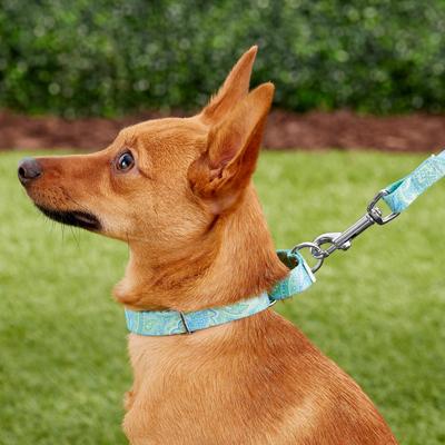 Show full view: Country Brook Design Paisley Polyester Martingale Dog Collar & Leash, Green, Small: 11 to 15-in neck, 5/8-in wide slide 3 of 10