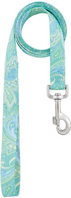 Show full view: Country Brook Design Paisley Polyester Martingale Dog Collar & Leash, Green, Small: 11 to 15-in neck, 5/8-in wide slide 6 of 10