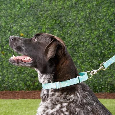 Show full view: Country Brook Design Paisley Polyester Martingale Dog Collar & Leash, Green, X-Large: 23 to 31-in neck, 1-in wide slide 3 of 9