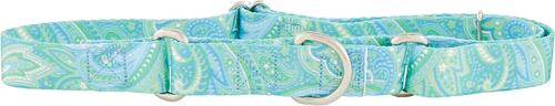 Show full view: Country Brook Design Paisley Polyester Martingale Dog Collar & Leash, Green, X-Large: 23 to 31-in neck, 1-in wide slide 4 of 9