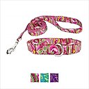 Country Brook Design Paisley Polyester Martingale Dog Collar & Leash, Pink, Large: 18 to 26-in neck, 1-in wide