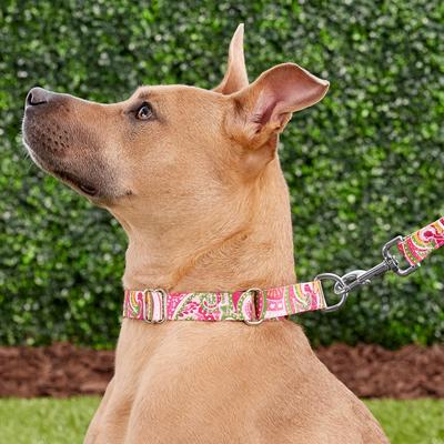Show full view: Country Brook Design Paisley Polyester Martingale Dog Collar & Leash, Pink, Large: 18 to 26-in neck, 1-in wide slide 2 of 9