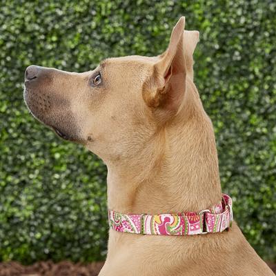 Show full view: Country Brook Design Paisley Polyester Martingale Dog Collar & Leash, Pink, Large: 18 to 26-in neck, 1-in wide slide 3 of 9