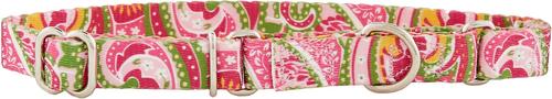 Show full view: Country Brook Design Paisley Polyester Martingale Dog Collar & Leash, Pink, Large: 18 to 26-in neck, 1-in wide slide 4 of 9