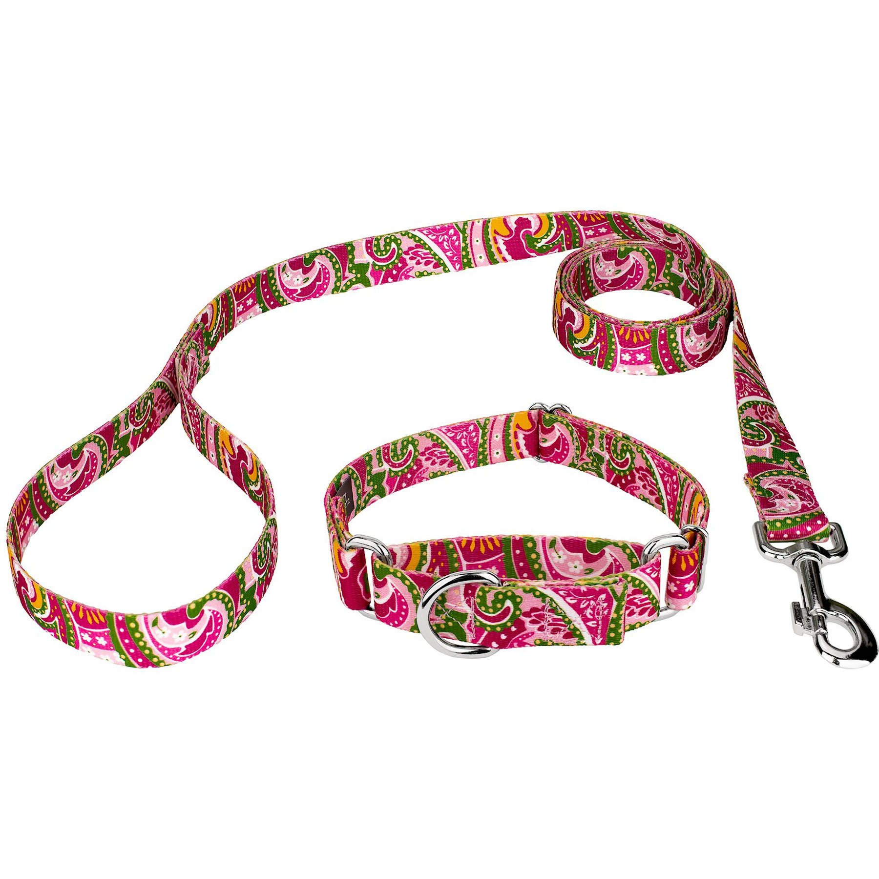 Country Brook Design Paisley Polyester Martingale Dog Collar & Leash, Pink, Medium: 15 to 21-in neck, 1-in wide