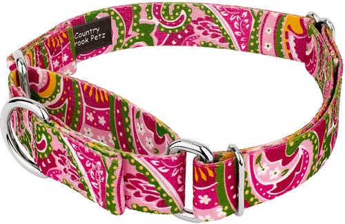 Show full view: Country Brook Design Paisley Polyester Martingale Dog Collar & Leash, Pink, Medium: 15 to 21-in neck, 1-in wide slide 3 of 9