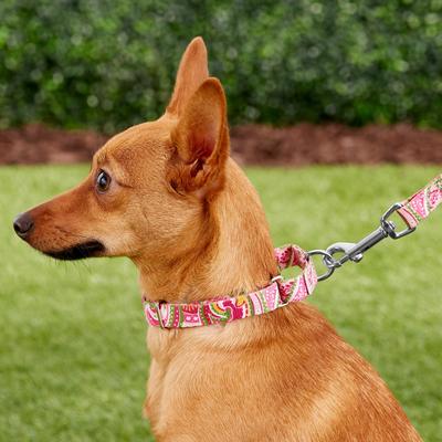 Show full view: Country Brook Design Paisley Polyester Martingale Dog Collar & Leash, Pink, Small: 11 to 15-in neck, 5/8-in wide slide 2 of 9