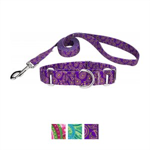 Country Brook Design Paisley Polyester Martingale Dog Collar & Leash, Purple, Large: 18 to 26-in neck, 1-in wide