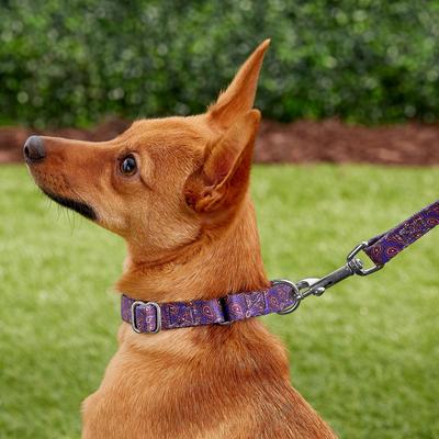 Show full view: Country Brook Design Paisley Polyester Martingale Dog Collar & Leash, Purple, Small: 11 to 15-in neck, 5/8-in wide slide 2 of 9