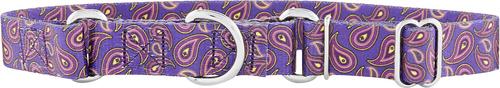 Show full view: Country Brook Design Paisley Polyester Martingale Dog Collar & Leash, Purple, Small: 11 to 15-in neck, 5/8-in wide slide 4 of 9
