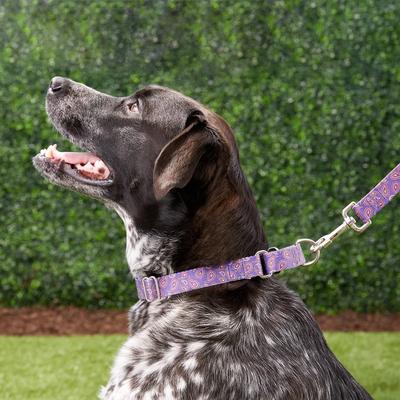 Show full view: Country Brook Design Paisley Polyester Martingale Dog Collar & Leash, Purple, X-Large: 23 to 31-in neck, 1-in wide slide 2 of 8